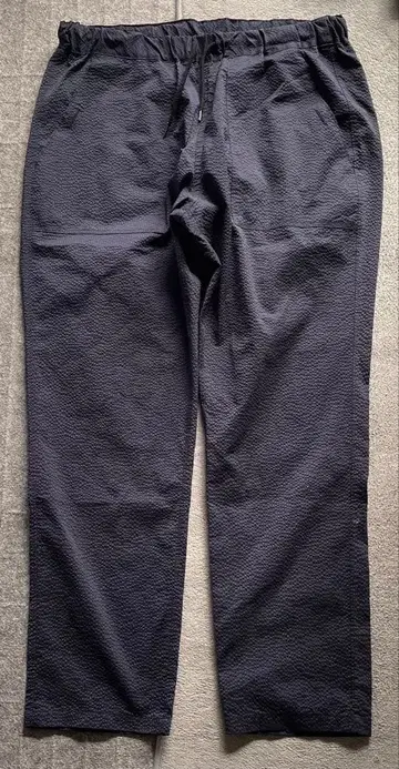 아르이 남성용 팬츠 L 네이비