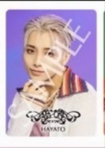 타카오 하야토 HAYATO AMAZONIA HMV 트레이딩 카드