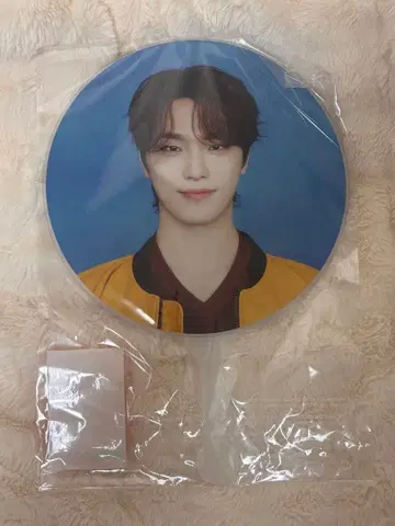 seventeen 디노 부채