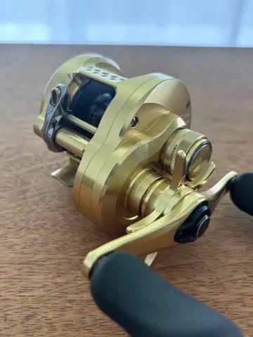 23 칼커타 퀘스트 201 HG