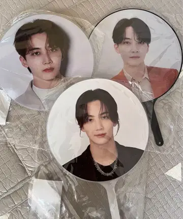 SEVENTEEN 정한 부채