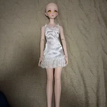 돌피드림 DDS 본체