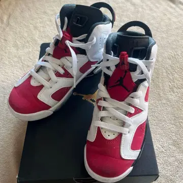 조던 6 카마인 23cm