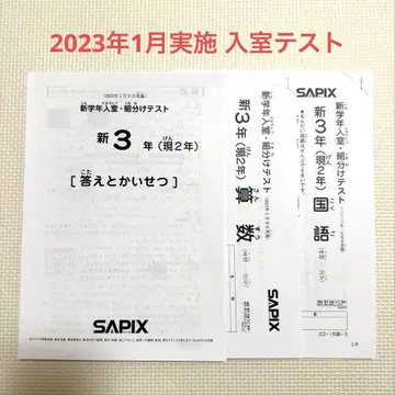 SAPIX 신 3학년 입실 테스트