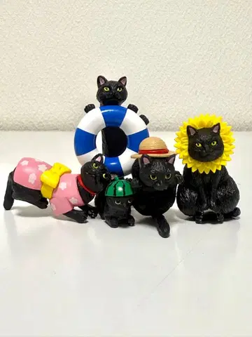 카페 베로체 검은 고양이 후치네코