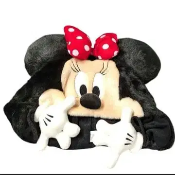 디즈니 미니 팬캡