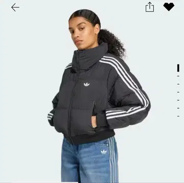 adidas 다운 2XL