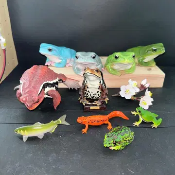 네이처 테크니컬러 묶음 판매