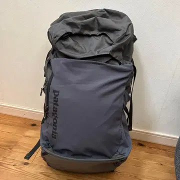 Patagonia 백팩 그레이