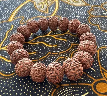 올 7 무키 루드라크샤 팔찌