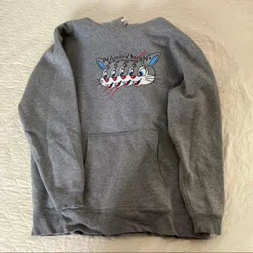 04 Limited Sazabys 후드티