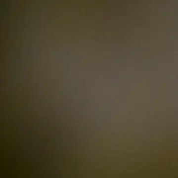 호시노 류님 2점 묶음 판매