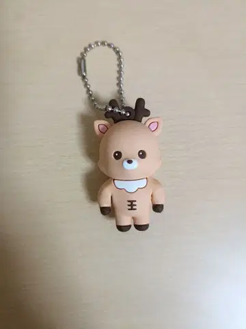 성찬 러버 키링 riize