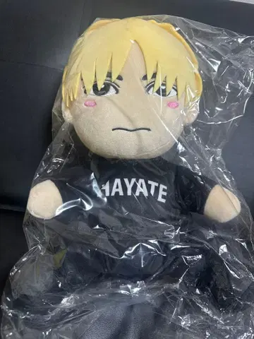 SUPER DRAGON 이이지마 하야테 봉제 인형