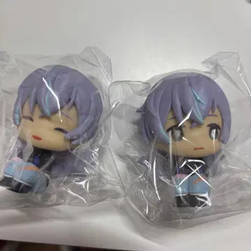 니지콧토 호시미치 쇼