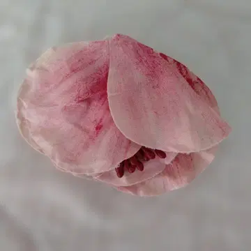 핑크 플라워 귀찌 네세세아였는지 어딘가에서 구매 제작이 멋져서 구매