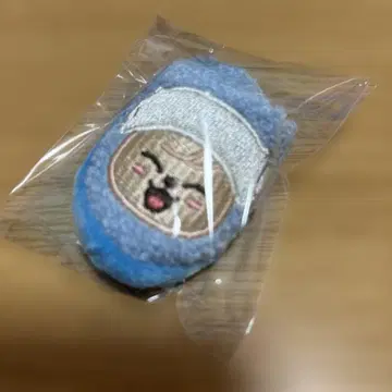 StrayKids SKZOO 퍼핌 슬리퍼 키링