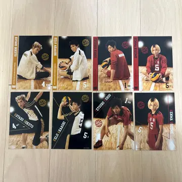 하이 스테 브로마이드 세트