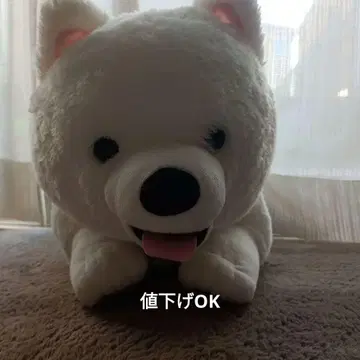 사모예드 강아지 봉제 인형 BIG