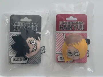 하이큐!! 페이스 배지 원화전 도쿄