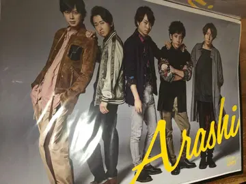 B2 파일 포함 아라시 포스터 3장