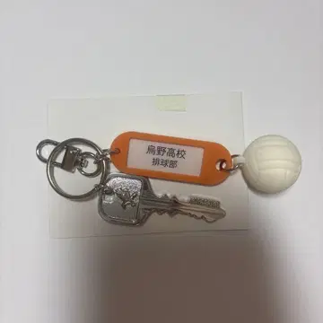 [ 카라스노 ] 하이큐 트레이딩 고등학교 이름 포함 열쇠 참 키링