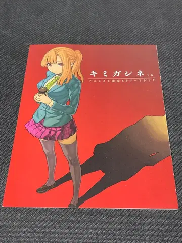 키미가시네 애니메이트 특전 리플렛