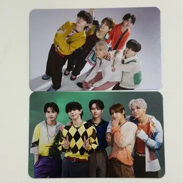 원엔 AMAZONIA 집합 트레이 카세트