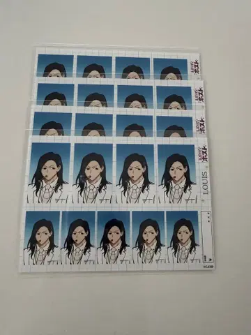 에브리데이 호스트 복권 루이 스티커 세트