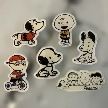 스누피 아크릴 마그넷 SNOOPY 레트로 패턴 찰리 브라운