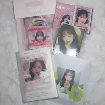 IVE 도무송 110장