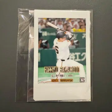 자이언츠 사요나라 2025 폴라로이드 9.13 사카모토 하야토