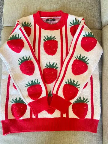 딸기 패턴 니트