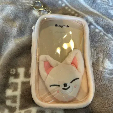 straykids 아이엔 폭시니 아크릴 스탠드 케이스