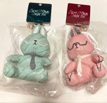 에리브리 마스코트 참 AGF 나이트 바