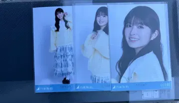 노기자카46 오가와 아야 카라 부착 코디 컴프