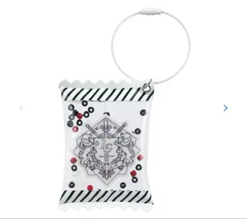 LUNA SEA GLAY Millennium Eve 2025 키링