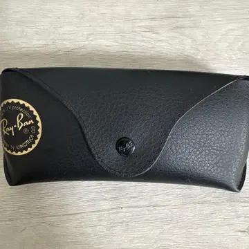 레이밴 웨이페어러