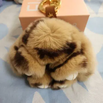 floats! 플로츠 모후모후상