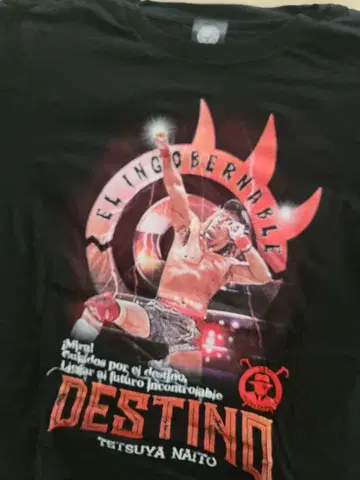 나이토 테츠야 데스티노 픽처 티셔츠 M 사이즈