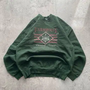 90s 프룻 오브 더 룸 USA제 구제 의류 프린트 맨투맨 XL