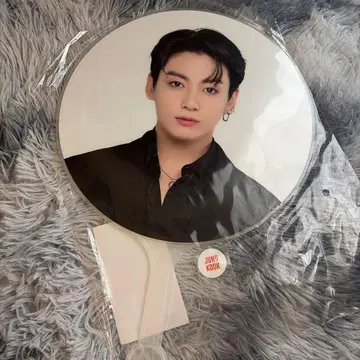 정국 이미지 부채 PTD