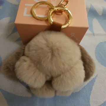 floats! 플로츠 모후모후상