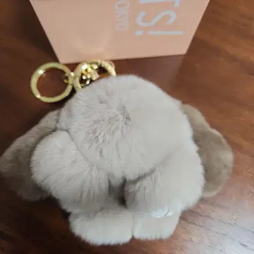 floats! 플로츠 모후모후상