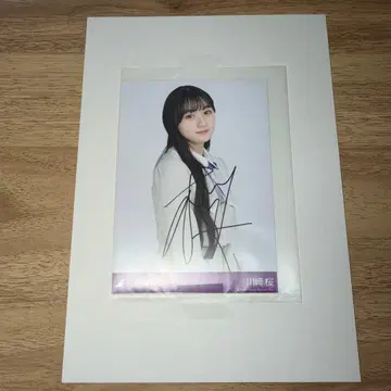 카와사키 사쿠라 좋아한다는 건 락이다! 친필 사인 브로마이드