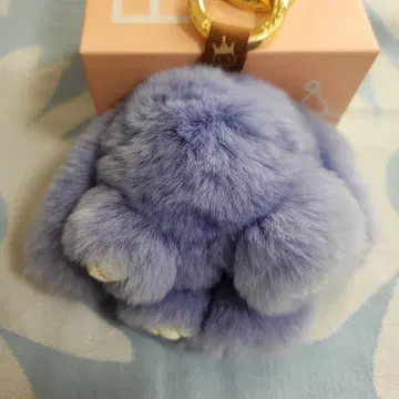 floats! 플로츠 모후모후 씨