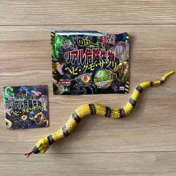 쭉 늘어나는 위험한 리얼 생물 뱀 대형 뱀