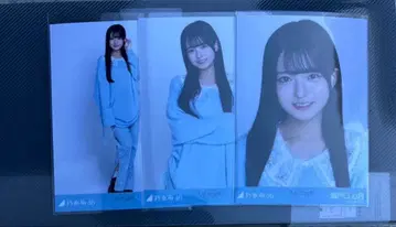 노기자카46 세토구치 신츠키 카라 부착 코디 컴프