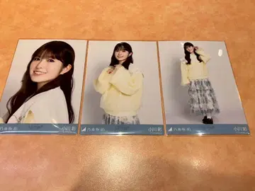 노기자카46 [ 오가와 아야 ] 카라 부착 코디 브로마이드