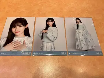 노기자카46 [카와사키 사쿠라] 카라 부착 코디 브로마이드